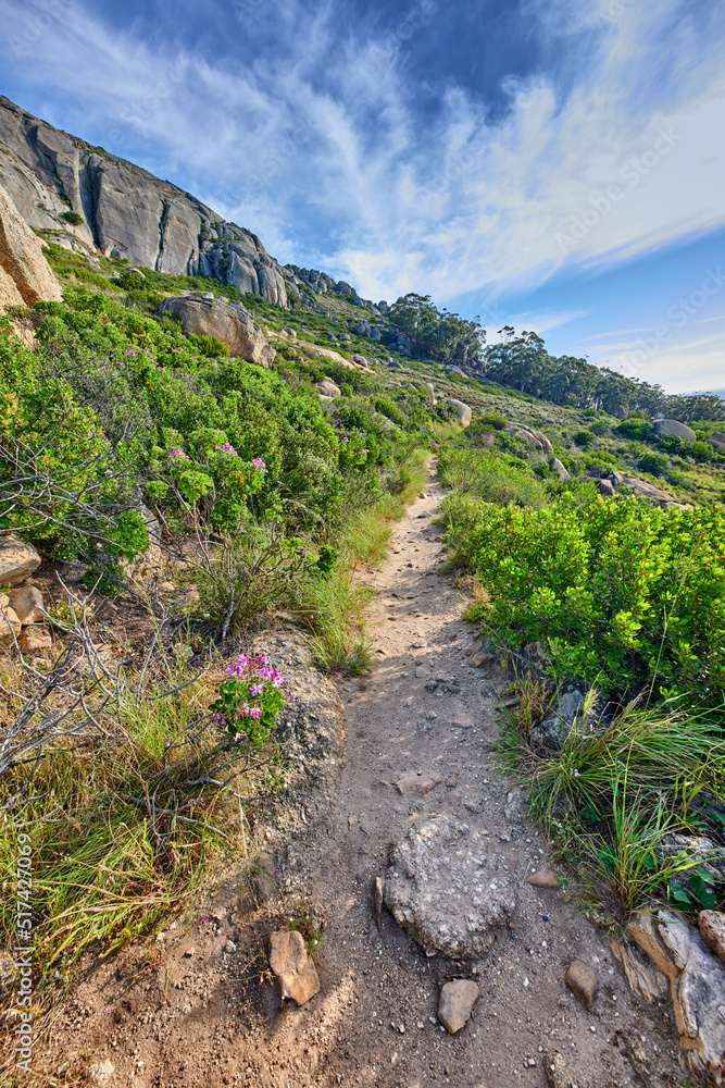 在多云的蓝天下，沿着南非开普敦狮子头山的一条风景优美的徒步小径