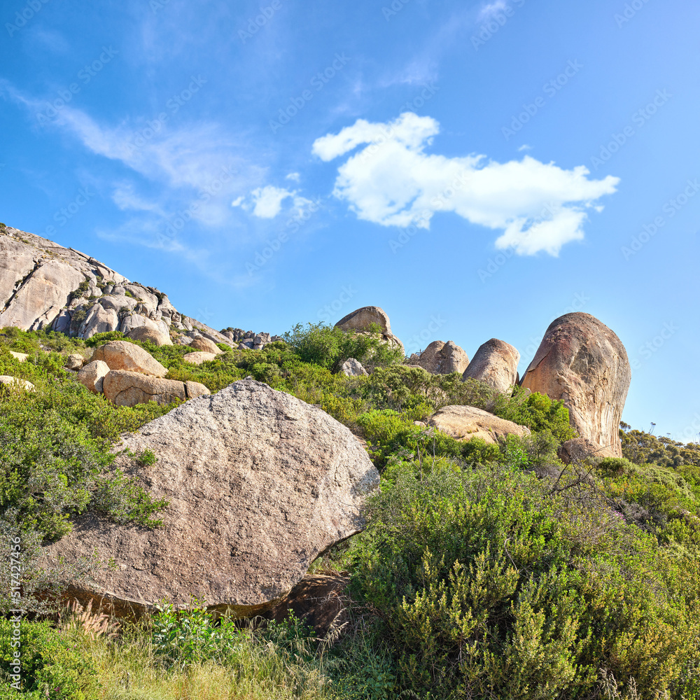 蓝天上灌木丛之间的许多岩石，有复制空间。大型sto的野生自然景观