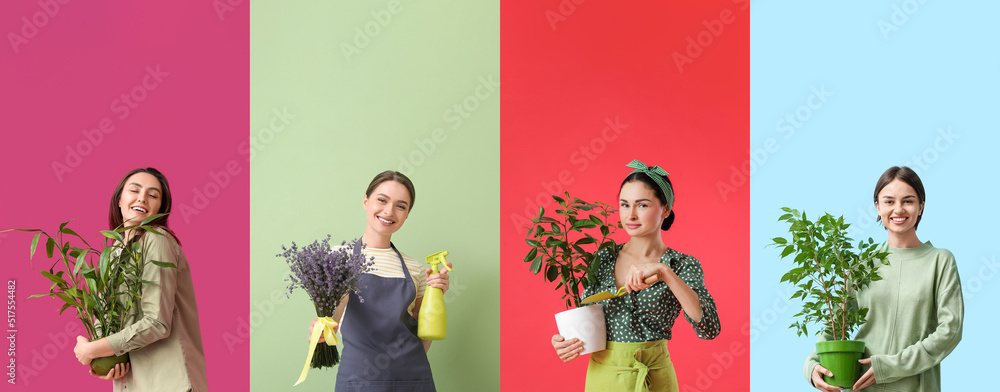 一组彩色背景上有植物的女性园丁