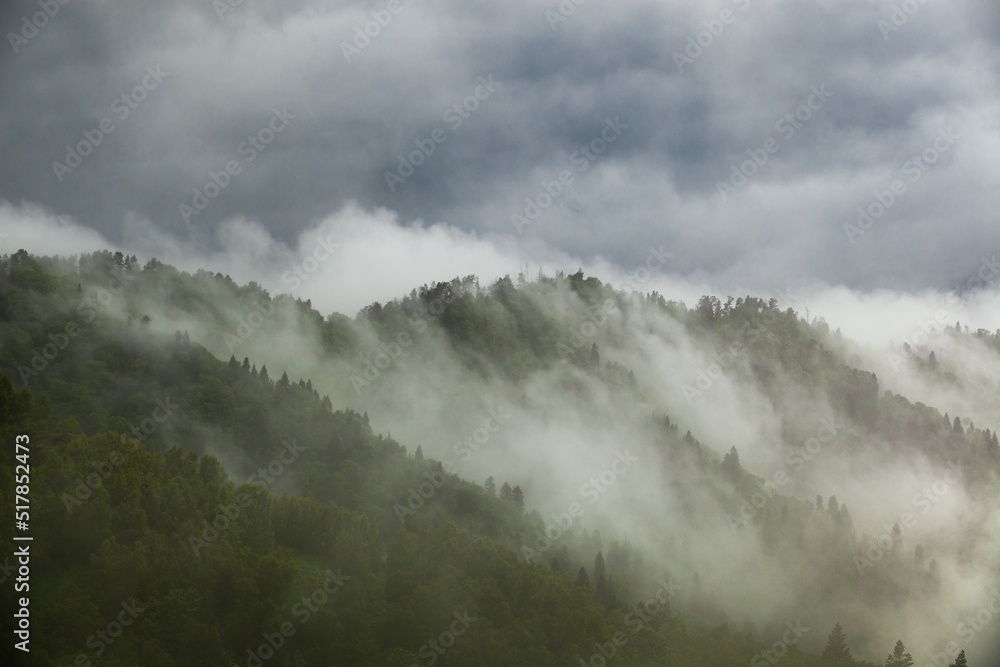 季风雨季亚马逊雨林中的云层形成。山上的树林。雾的概念。