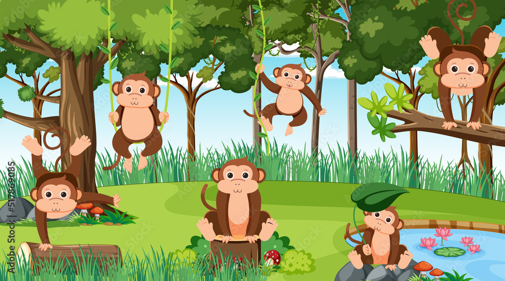 丛林中的猴子