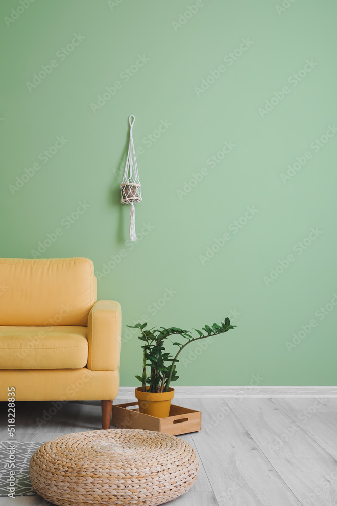 Comfortable armchair with pouf and houseplant near green wall in room