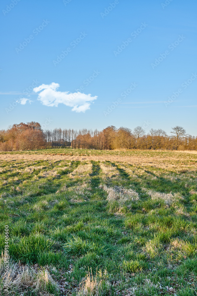 Winter landscape on a farm with trees in a row against a cloudy sky copy space background over the h