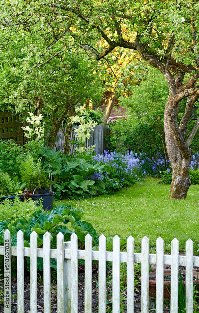Colorful home garden with various plants, trees and flowers growing on a sunny spring day outdoors. 