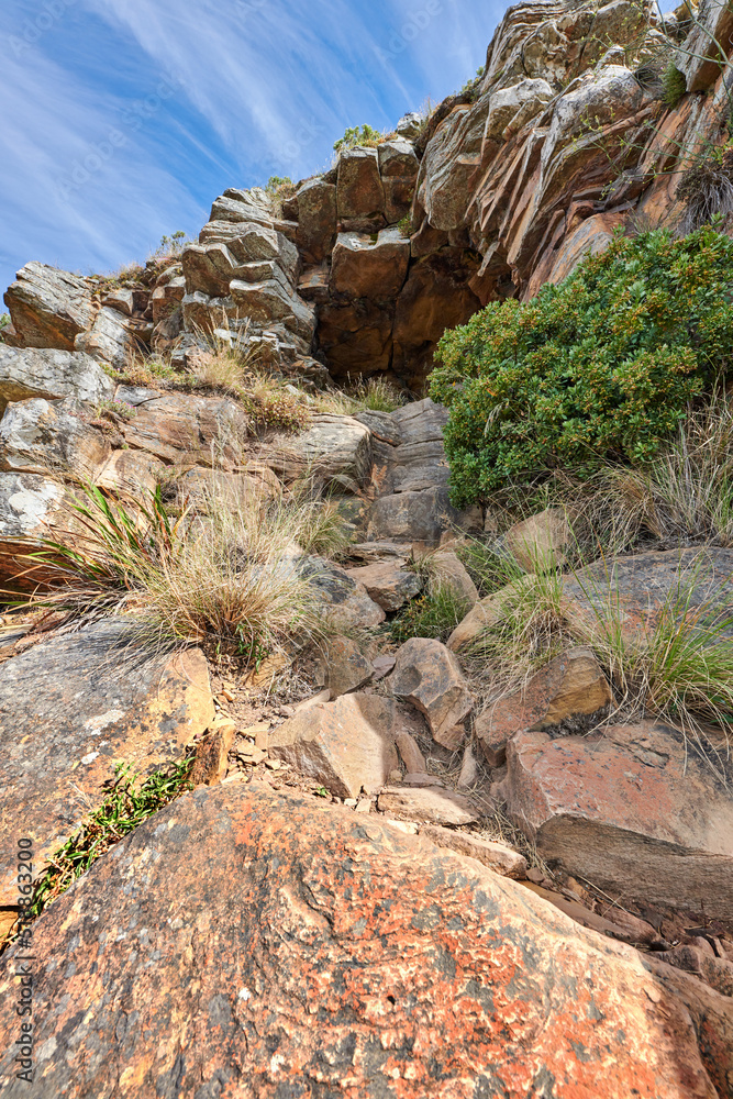 Mountain trails on Lions Head, Cape Town, South Africa. Rocky trail on a mountain with plants and gr