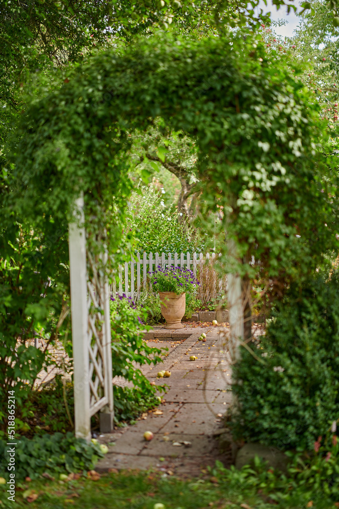阳光明媚的日子里，绿树成荫的拱门通向后院的私人花园。美丽的植物生长