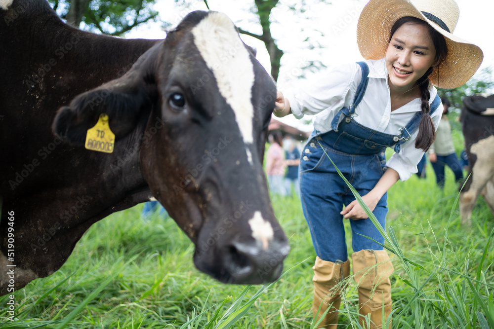 在畜牧业工作的有魅力的亚洲奶农女性
