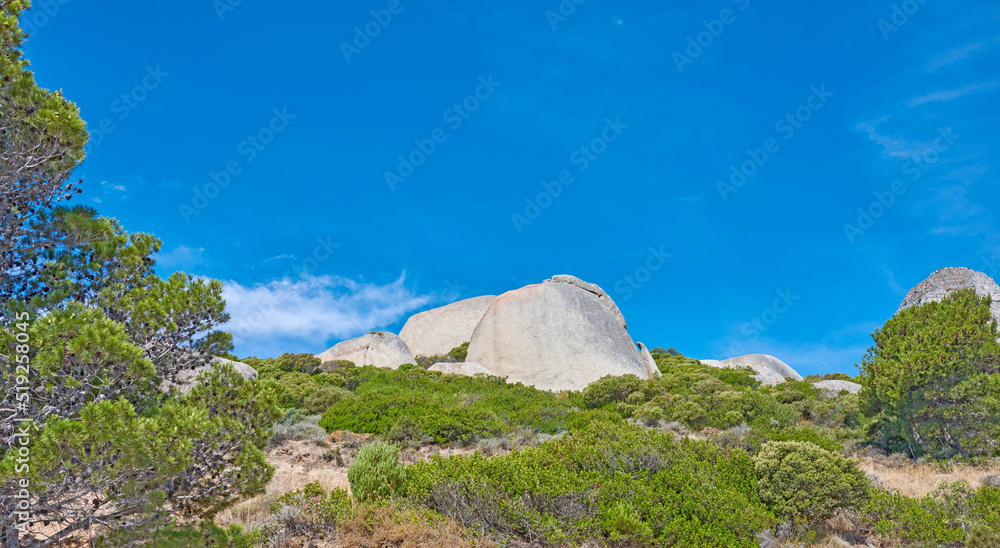 山丘上生长着树木和灌木的大型岩石。南非生态的野生景观
