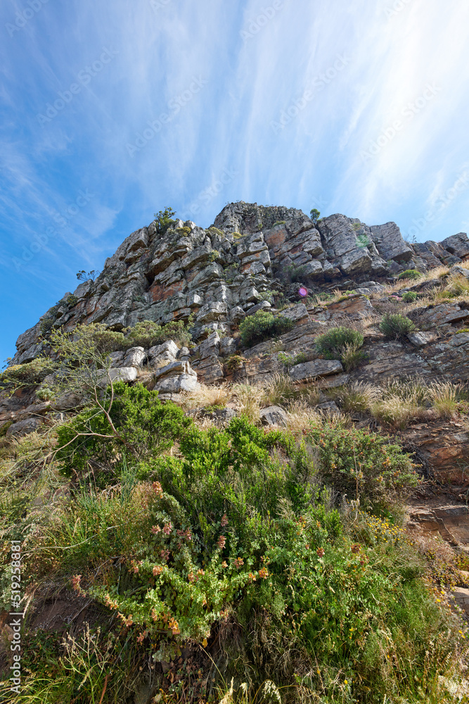 复制岩石山上的空间，在多云的蓝天背景下生长着植物和灌木