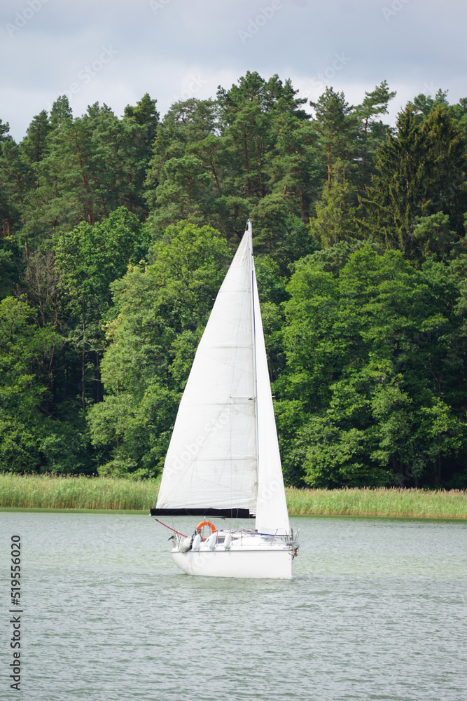 帆船在湖面上游泳，岸边绿树成荫