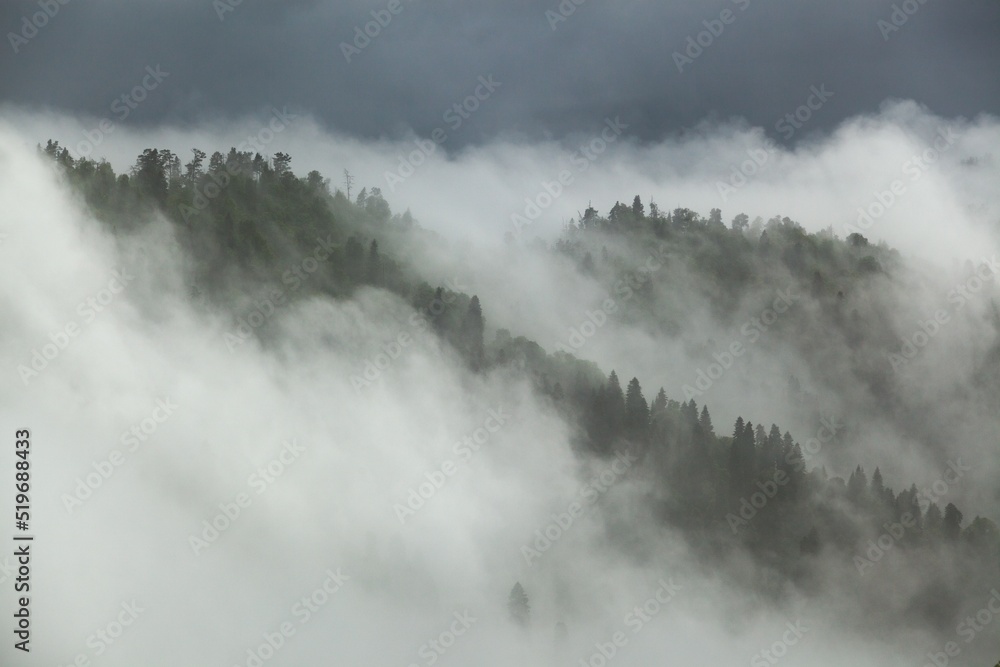 季风雨季亚马逊雨林中的云层形成。山上的树林。雾的概念。