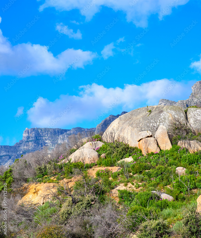 美丽、安静、平静的山景，岩石区生长着绿色植物。宁静的蓝