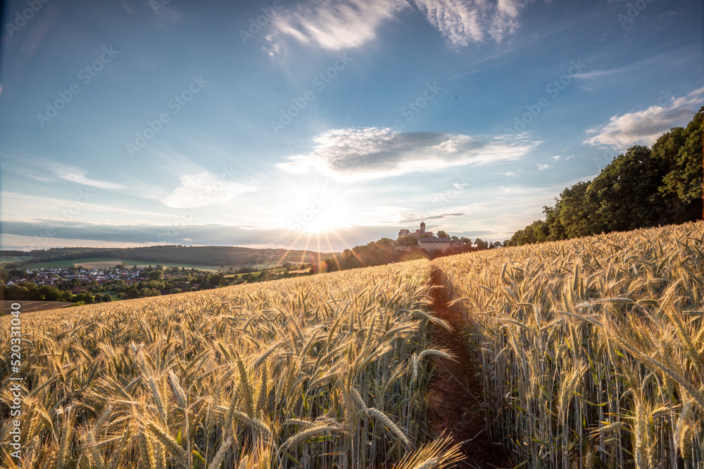 The Ronneburg with corn fields in the foreground. Beautiful landscape shot at sunset, burg, hesse, g