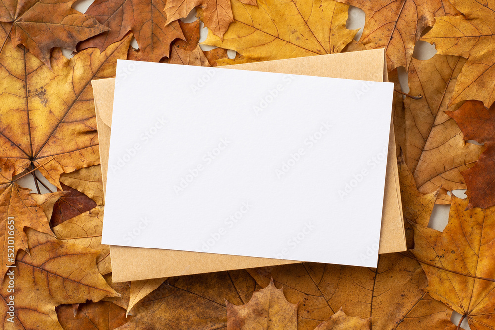 秋天的心情概念。纸卡和信封在一堆倒下的枫树上的特写照片