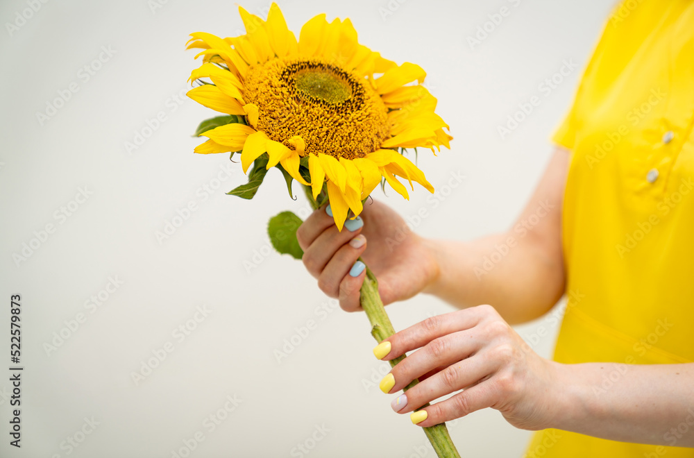 阳光明媚的花朵盛开。手中拿着黄色的向日葵。