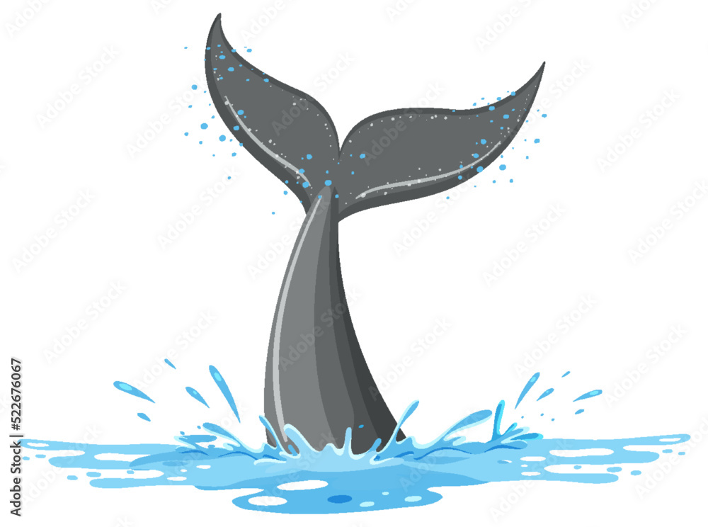 水中鲸鱼的尾巴
