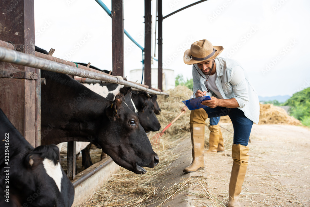 有吸引力的高加索男性奶农在畜牧业工作