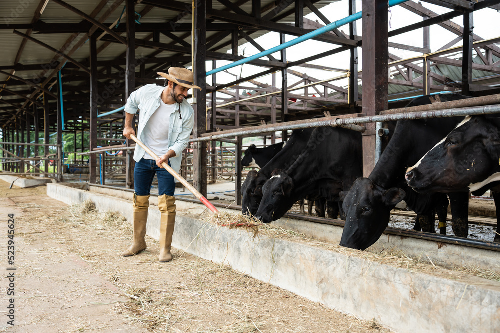 有吸引力的高加索男性奶农在畜牧业工作
