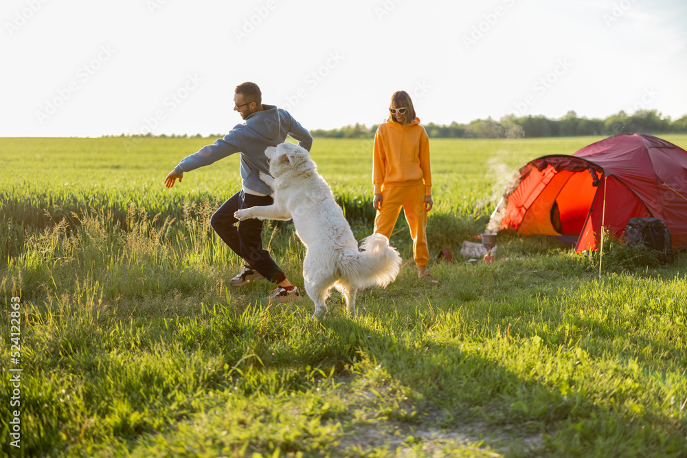 一对年轻夫妇和他们的狗玩耍，在大自然中带着帐篷愉快地度过夏天。兰