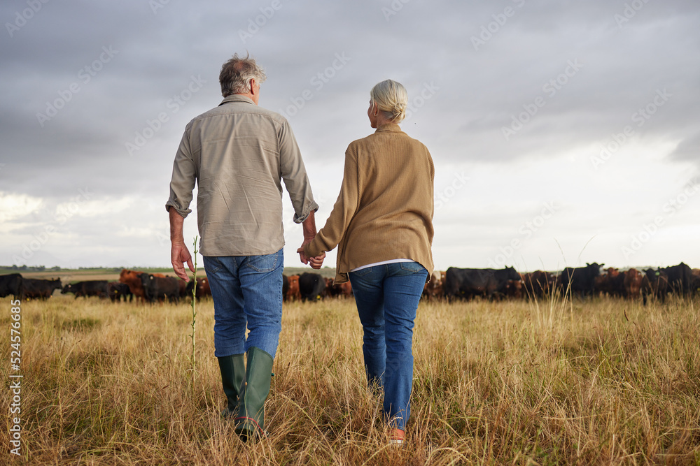 一对成熟的情侣手牵着手，在养牛场散步，亲密相处，度过一个没有压力的一天