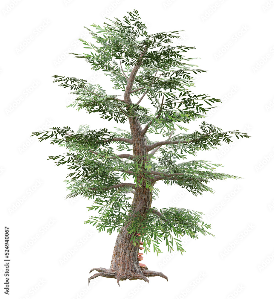 Fantastic tree isolated. 3d render