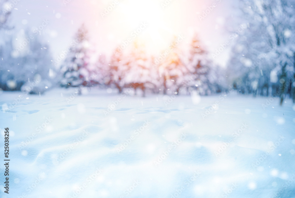 美丽的自然冬季散焦模糊背景图像，有森林、雪堆和小雪