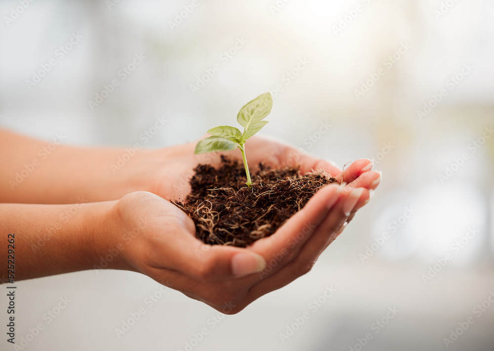 可持续、生态友好和植物生长与土壤携手保护环境和生态系统