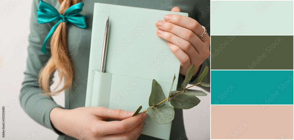 女人拿着时尚的笔记本，浅色背景上有桉树树枝，特写。不同的颜色图案