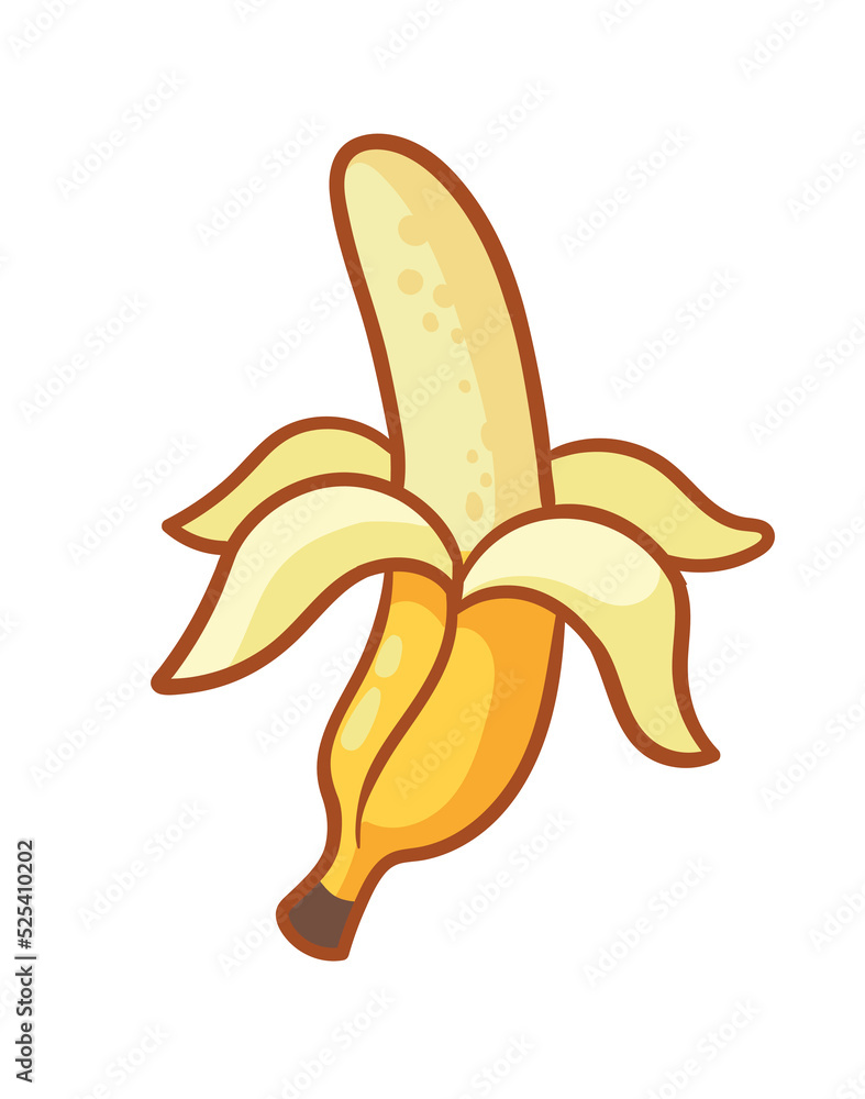 白色背景上隔离香蕉的矢量插图。热带水果