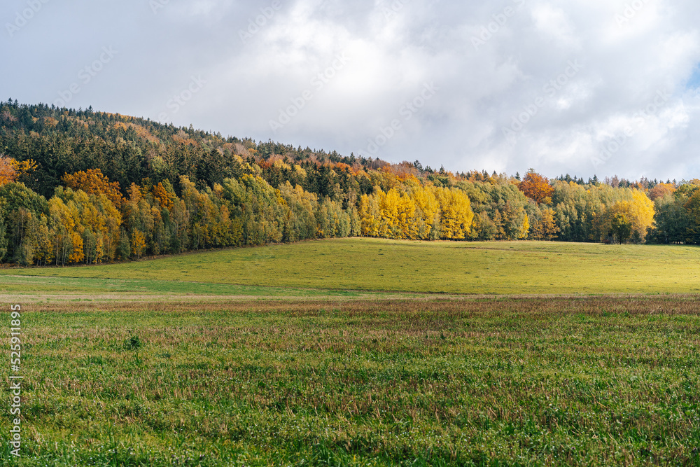 秋天五彩缤纷的风景，有绿色的草地和黄色、橙色和红色的树木。秋天