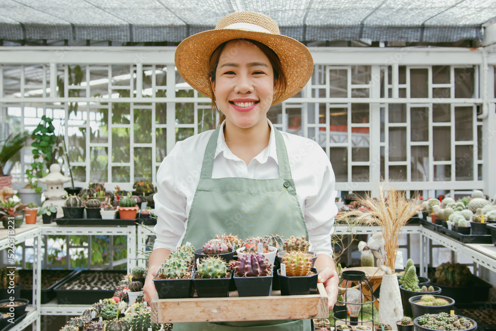 年轻的亚洲女性中小企业小企业企业家的肖像，仙人掌植物农场老板的微笑