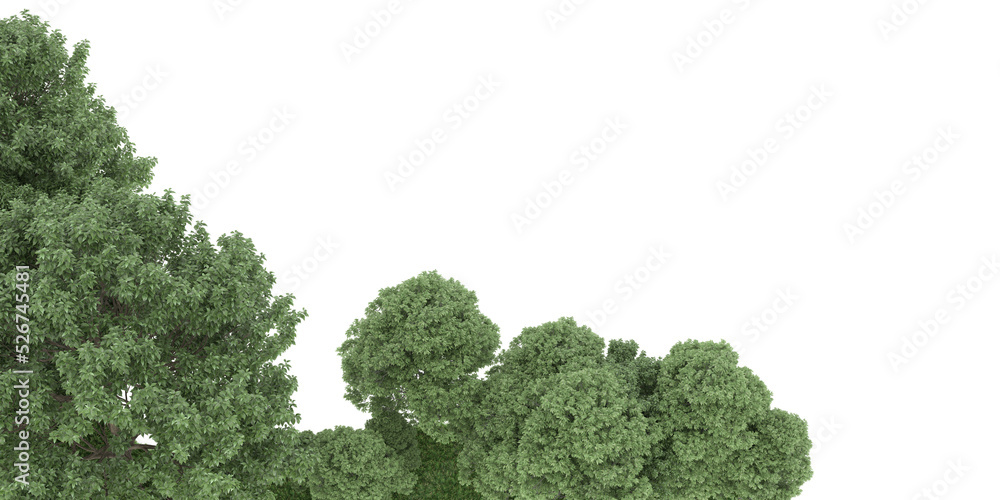 透明背景下的森林。三维渲染-插图