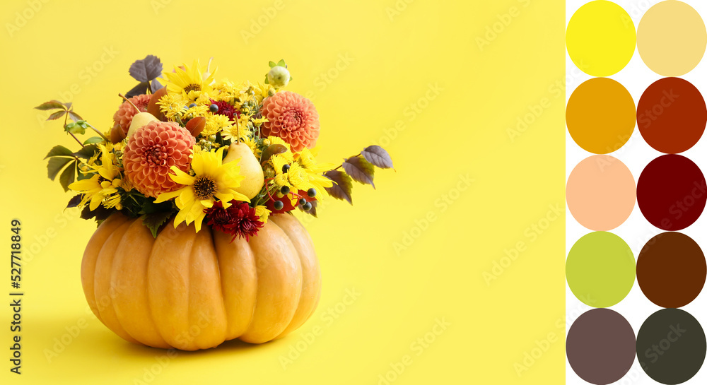黄色背景南瓜中的美丽秋季花束。不同的颜色图案