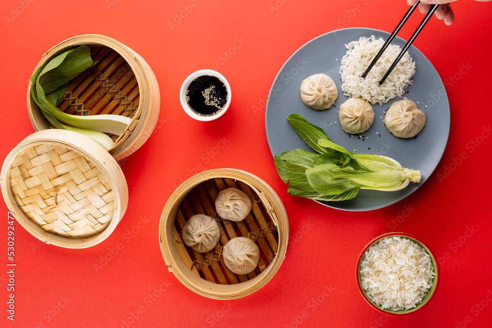 红底亚洲饺子、酱油、菊苣、米饭和筷子的俯视图