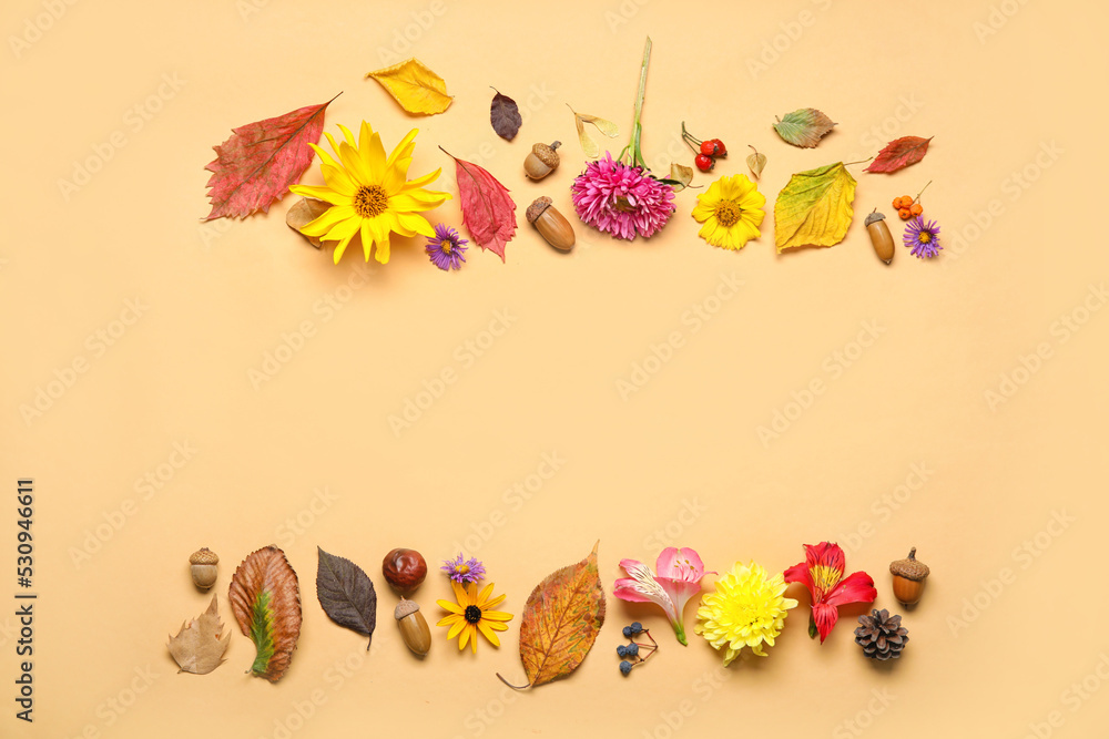 美丽的秋季构图，色彩背景上有花朵和天然森林装饰