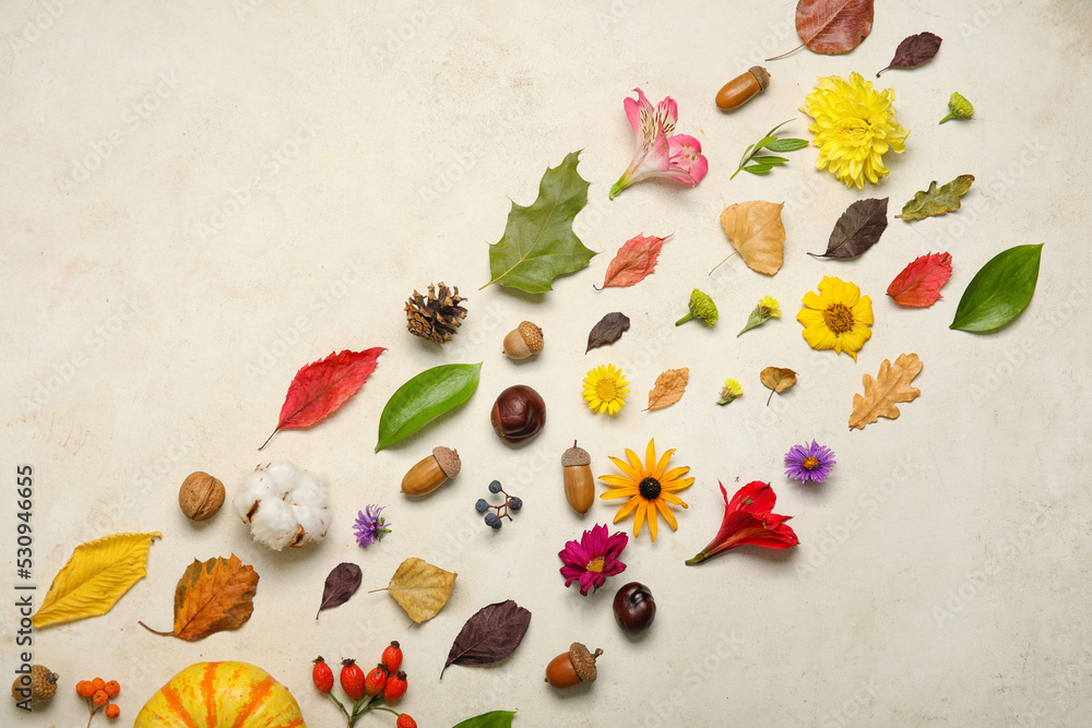 以花朵和天然森林装饰为浅色背景的秋季构图