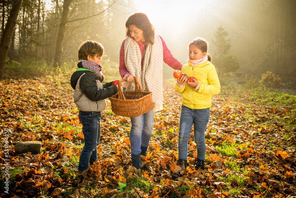孩子和妈妈在户外散步时摘秋天的水果