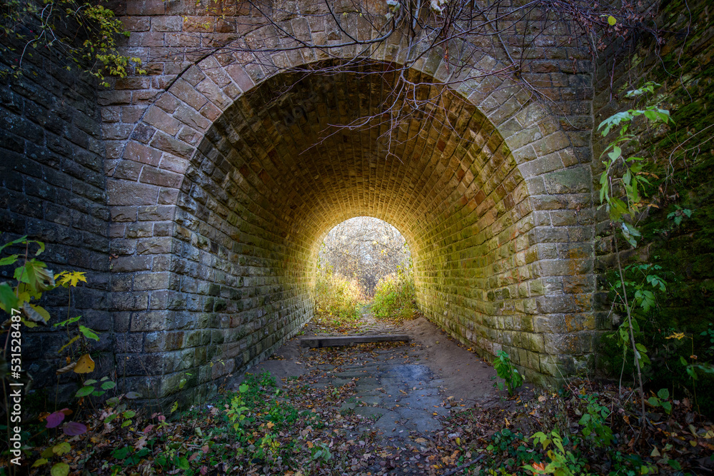 秋天森林中的神秘石头隧道