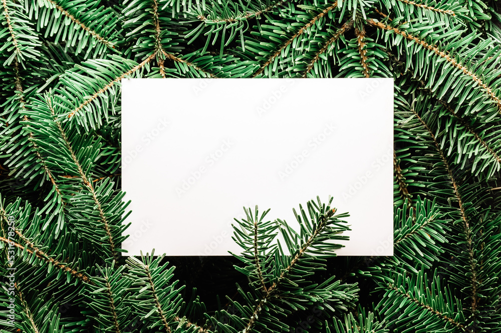 创意圣诞假期背景，杉木树枝和红色圣诞球特写。平躺，顶部