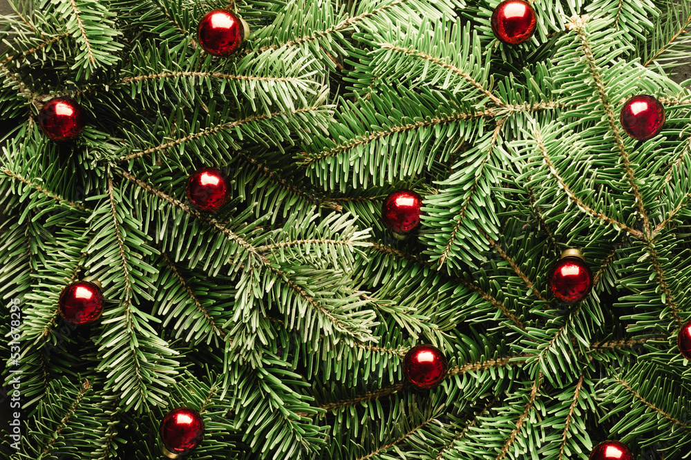 创意圣诞假期背景，杉枝和红色圣诞球特写。平躺，顶部