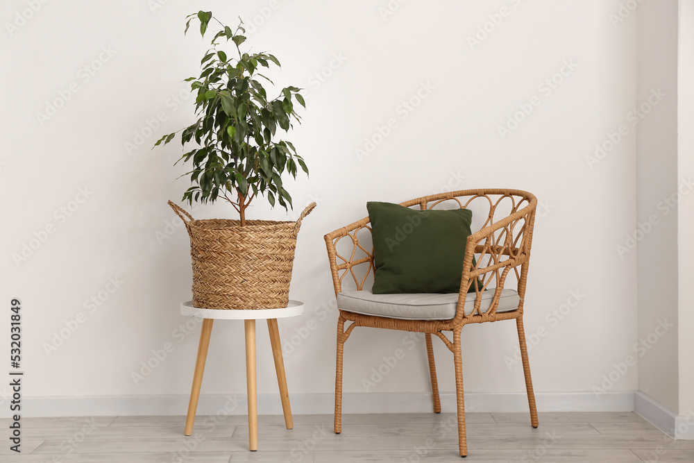 桌子上有室内植物的篮子，靠近浅色墙壁的扶手椅