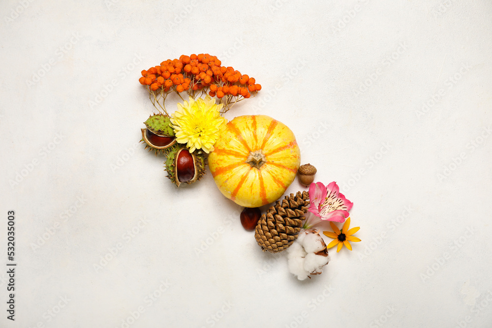 秋天的花朵，白色背景上有南瓜、栗子、橡子、毛皮锥和浆果