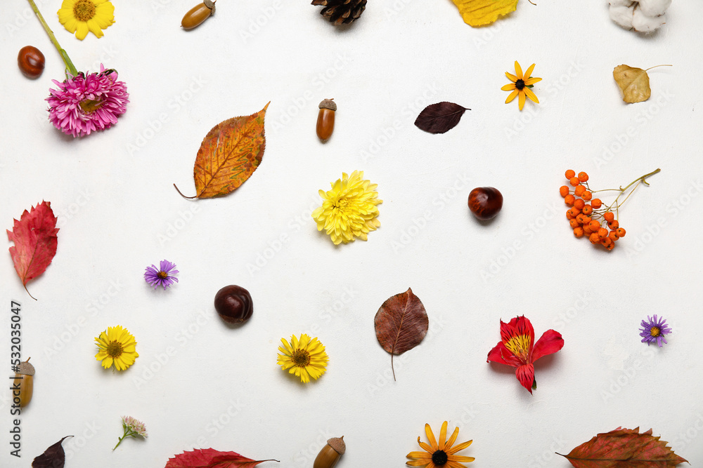 明亮的秋花，白底有树叶、栗子、浆果和橡子