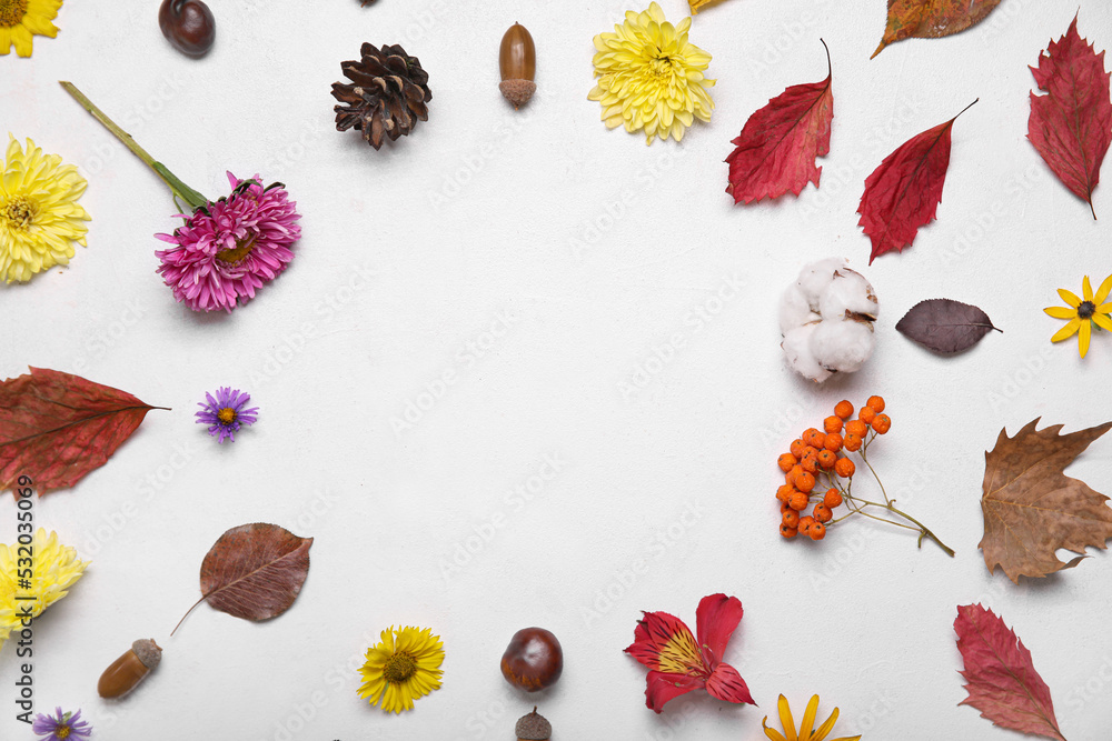 框架由白色背景下的秋花、树叶、橡子、栗子和浆果制成