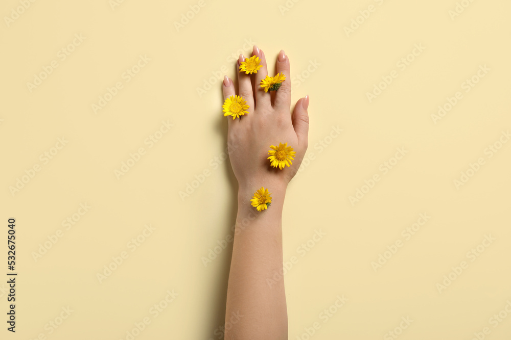 女性手和米色背景上的黄色花朵