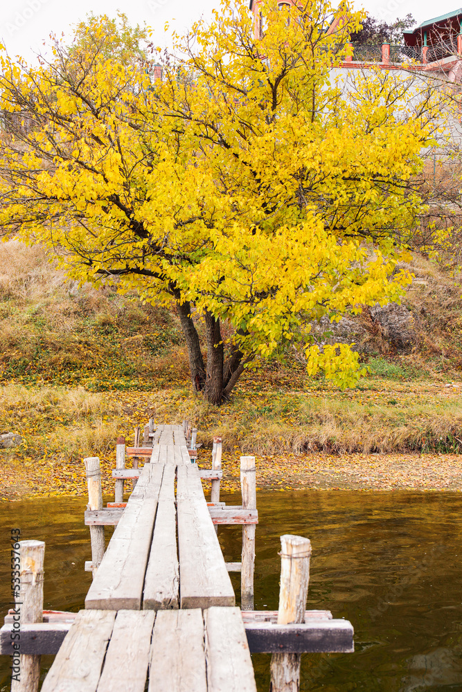 河岸上的木墩通道和金叶树