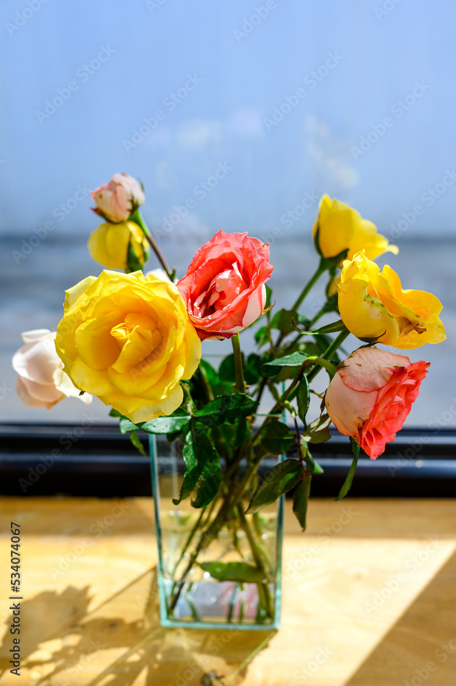 窗边玻璃花瓶里的彩色玫瑰