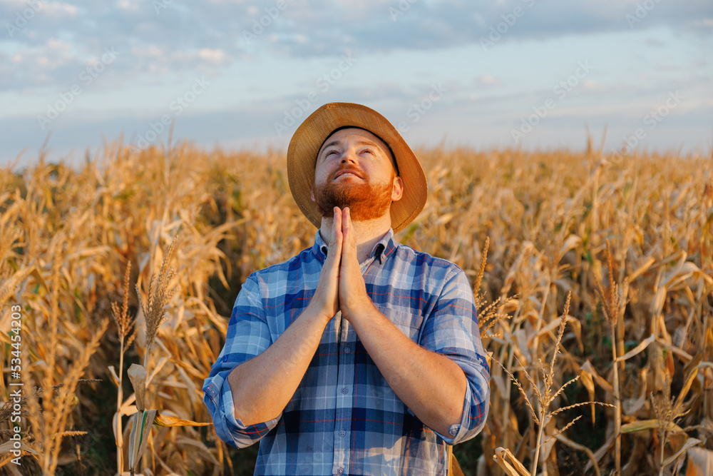 农民在玉米地里祈祷丰收