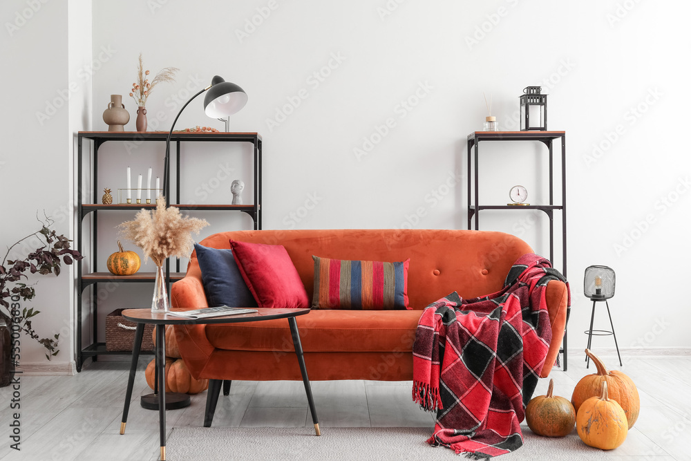 带红色沙发和搁架单元的客厅秋季内部