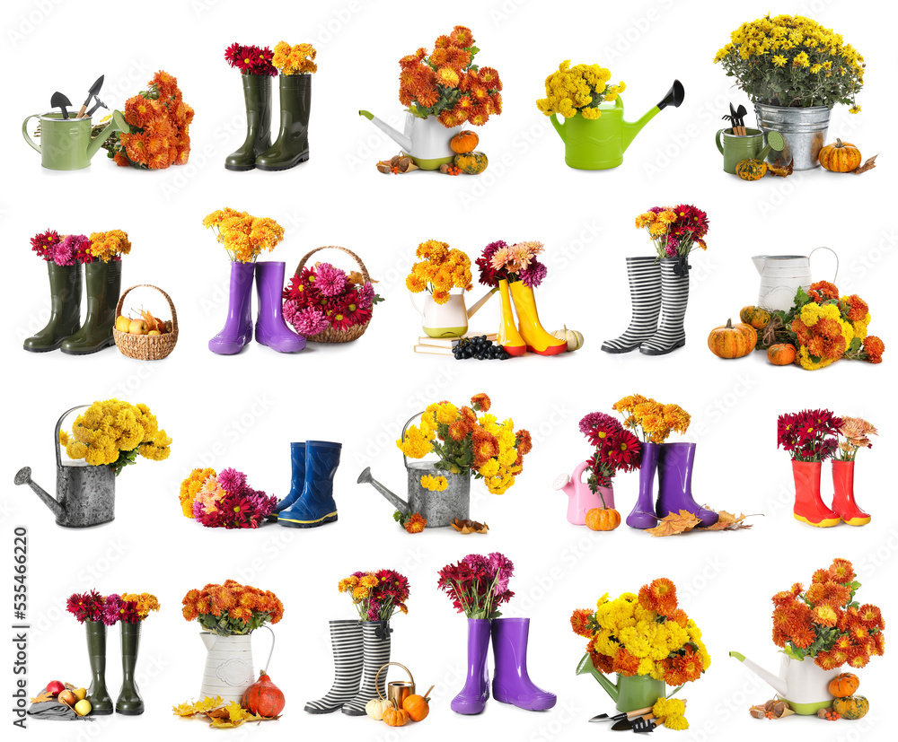 收藏带橡胶靴、喷壶和园艺工具的菊花
